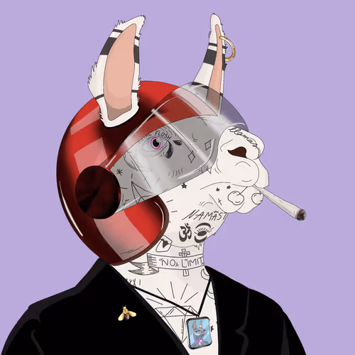 No Limit Llamas Official