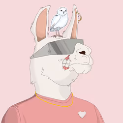 No Limit Llama #70