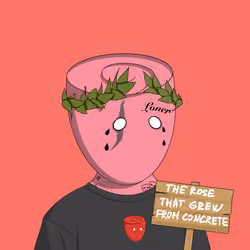Rare Roses #408