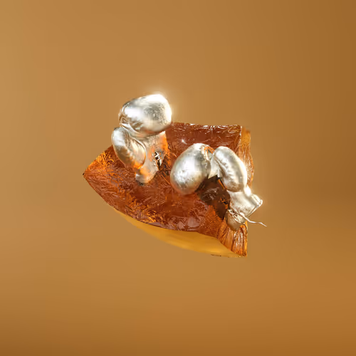Item #17 Media