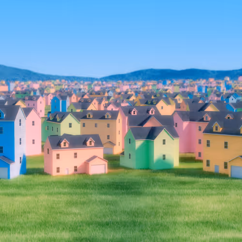 The Suburbs