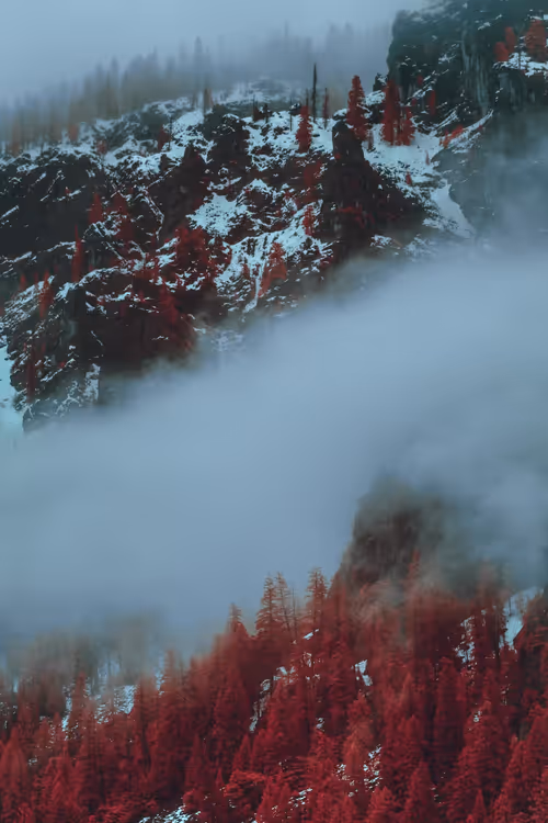 Item #37300030017 Media