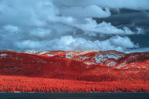 Item #37300010015 Media