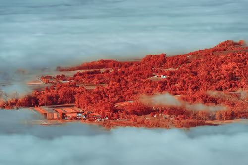 Item #37300020060 Media