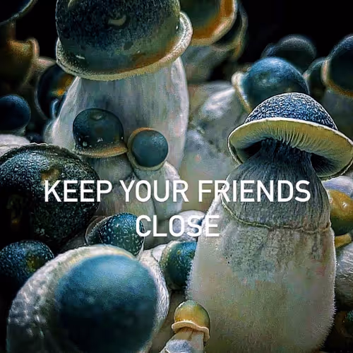 keep your friends close