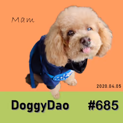 Doggy Dao #685