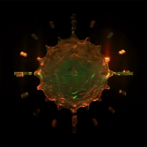 Luminara 453204977