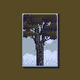 65