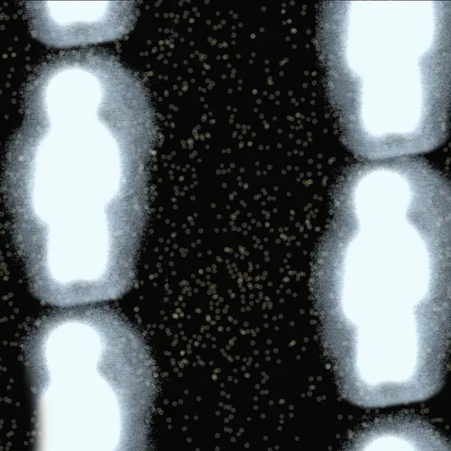 CUSP: Reflections on Consciousness - Series 2