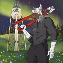 17