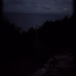 56