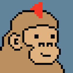 Kong Punk #04991