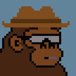 Kong Punk #05965