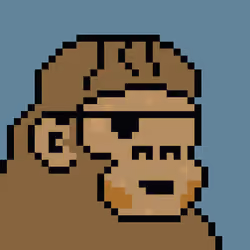 Kong Punk #05977
