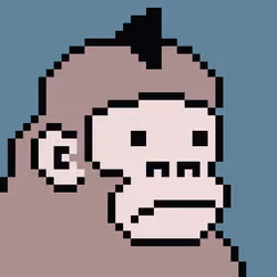 Kong Punk #05951