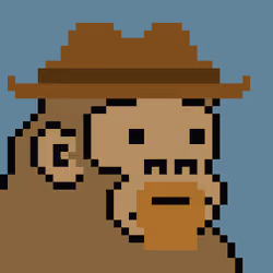 Kong Punk #08889