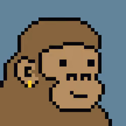 Kong Punk #00397