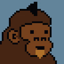 Kong Punk #07817