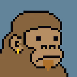 Kong Punk #08052