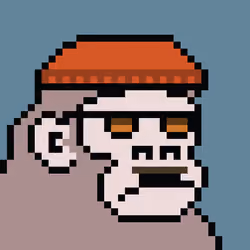 Kong Punk #08902