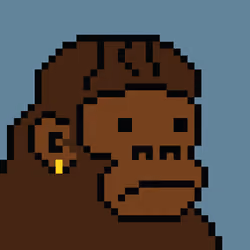 Kong Punk #07792