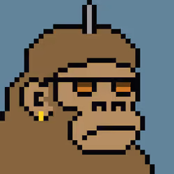 Kong Punk #01988