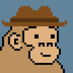 Kong Punk #02822