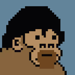 Kong Punk #08895