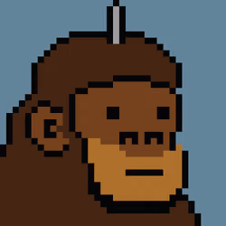 Kong Punk #08095