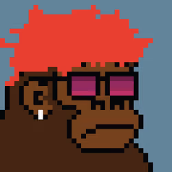 Kong Punk #05959