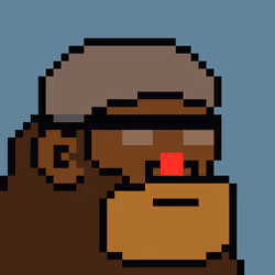 Kong Punk #07013