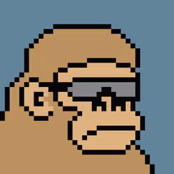 Kong Punk #05836