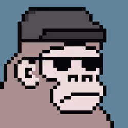 Kong Punk #01392