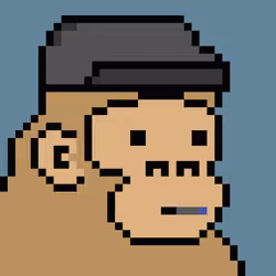 Kong Punk #01454