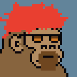 Kong Punk #01462