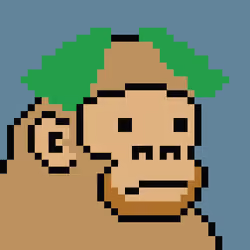 Kong Punk #05984
