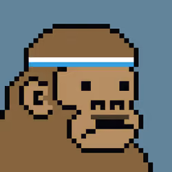 Kong Punk #04986