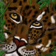 WILD-LIFE