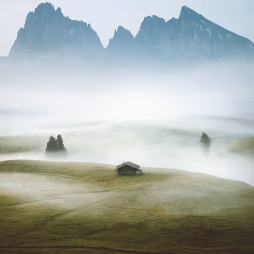 Homeland - TBHgssx1Ew