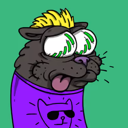 Roaring Kitteh #1643