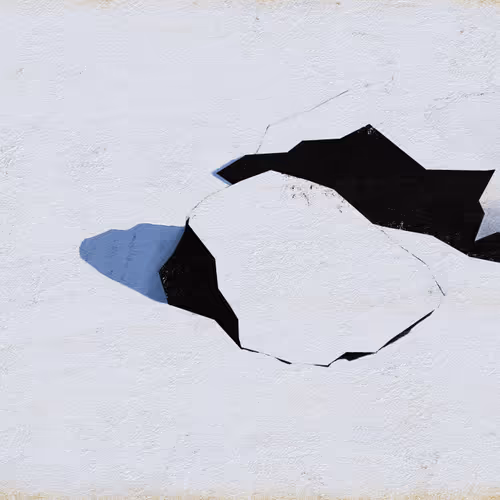 What Snow Cannot Bury