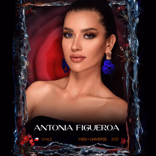 Miss Universe Nft 1