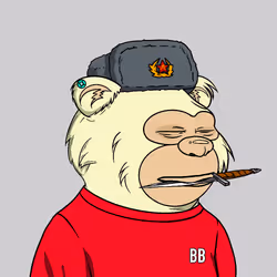 339