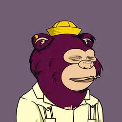 97