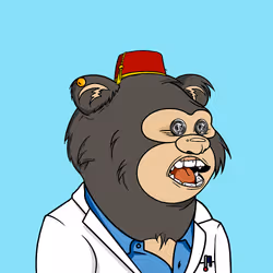 1251