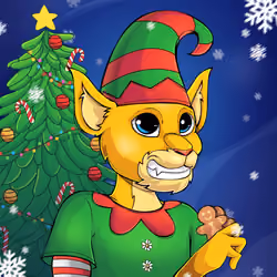 Christmas Cub