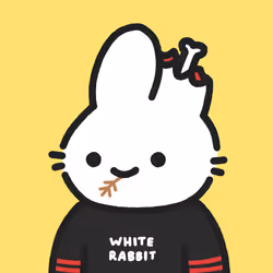 Binkies #5541