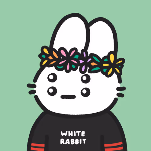 Binkies #8943