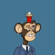 155