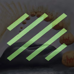 1698945501044000008